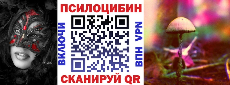 мориарти официальный сайт  Каменск-Шахтинский  Псилоцибиновые грибы MAGIC MUSHROOMS 